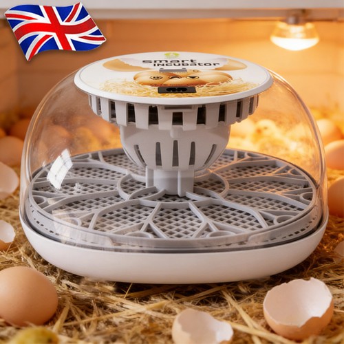 Incubators for hatching - hatching, eggs