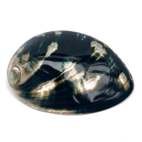 Very rare black polished - very,