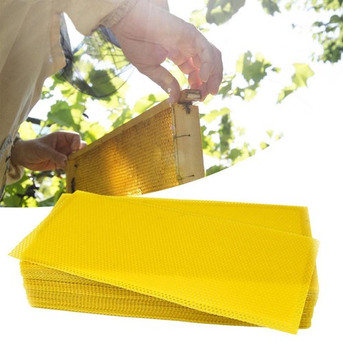Pieces beeswax sheets - beeswax,