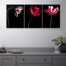 IKEA PJATTERYD Set of 3 Canvas