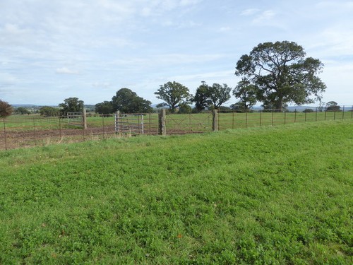 Photo 6x4 stone gate - gate, posts