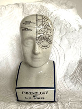 Phrenology Head L.N Fowler Crackle Ceramic Porcelain 11'' Head VGC 