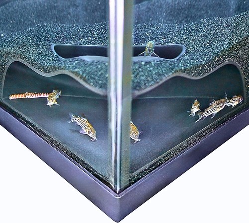Aquarium underground corner - aquarium,