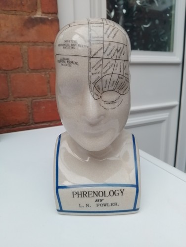 Phrenology head n fowler - phrenology, l.n