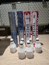 Badminton Shuttlecocks 12-Pack