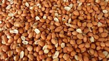 Wild Bird Whole Peanuts 10Kg -