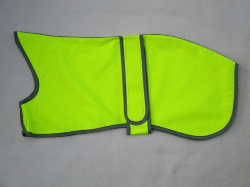 Whippet coat rain - whippet,