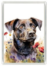 PATTERDALE TERRIER DOG FRIDGE