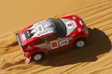 Miki Biasion (ITA) Tiziano