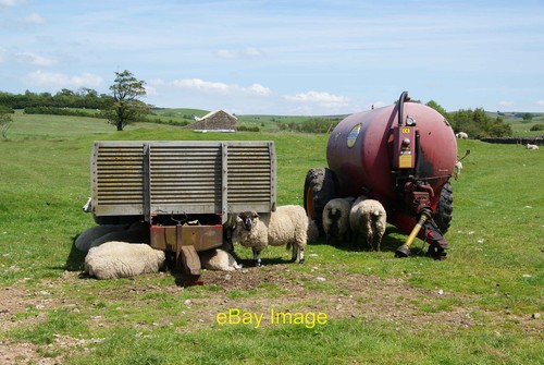 Photo 6x4 farm equipment - farm, has