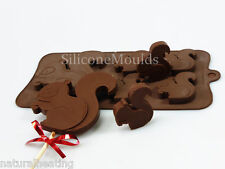4+1 SQUIRREL Novelty Chocolate