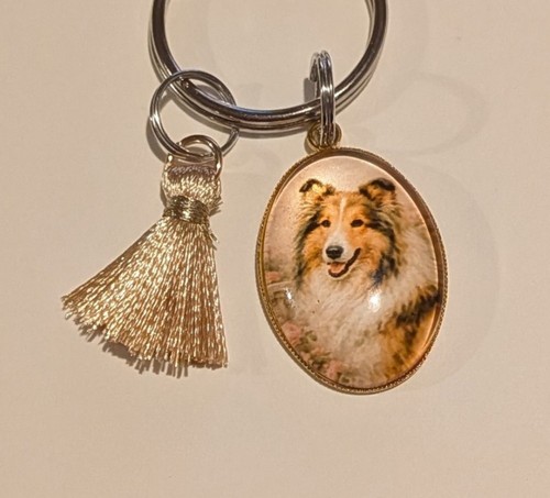 Gorgeous rough collie lassie - lassie, &