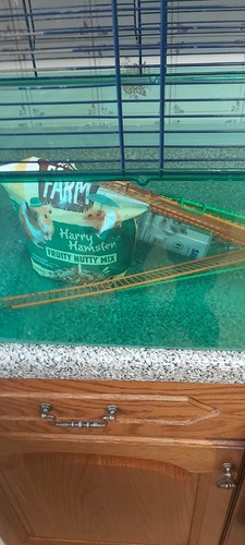 Hamster gerbil cage - or,