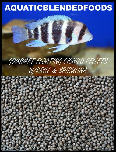 Abf floating cichlid - abf, pellets