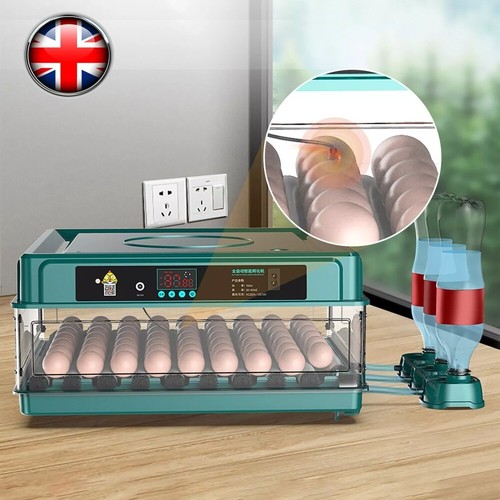 Egg incubators for hatching - 48,