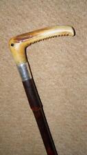Antique Walking Stick - Hallmarked 1898 Silver Collar & Antler Handle By Zair