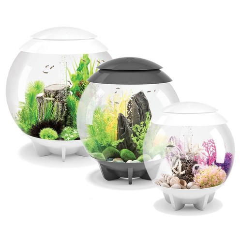 Biorb halo aquarium - aquarium, tank