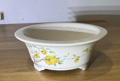 Bonsai pot white ceramic - bonsai,