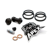 Triumph Daytona 1200 1994 Rear Brake Caliper Seal Service Kit Rebuild Overhaul