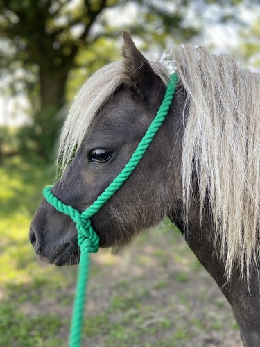 Mini shetland rope - mini-shetland/shetland,