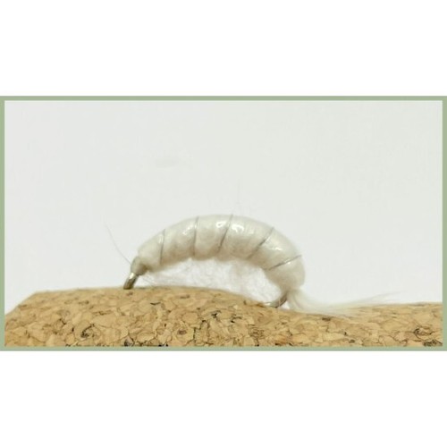 Shrimp trout flies white - shrimp,