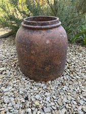 Terracotta Rhubarb Forcer