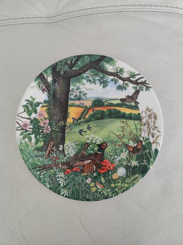 Wedgwood plate limited edition - wedgwood,