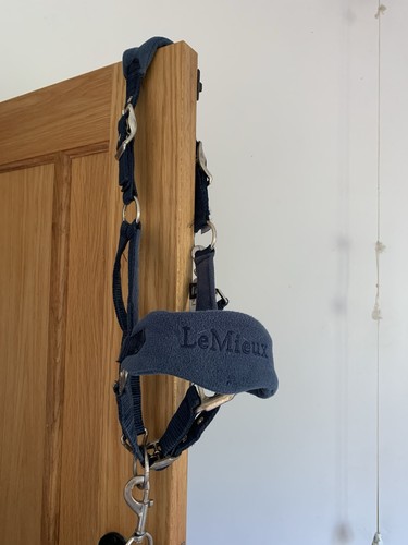 Mieux pony head collar and - pony,