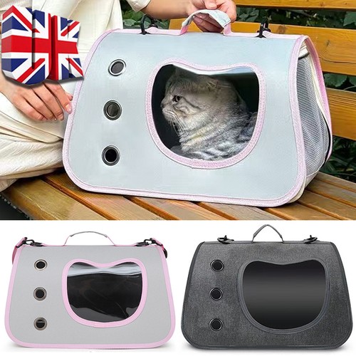 Large cat transporter - cat,