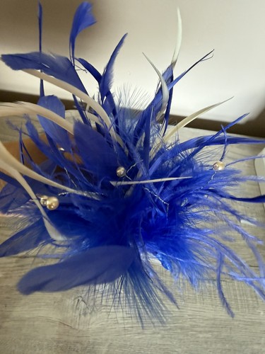 Royal blue and - and, white