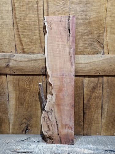 Live edge yew - edge, slab