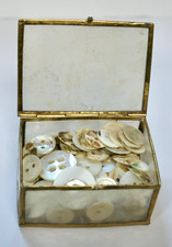Small Shell Trinket Box Full