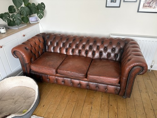 Vintage chesterfield leather - vintage,