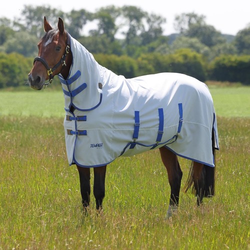 Shires tempest plus sweet itch - tempest, sweet-itch