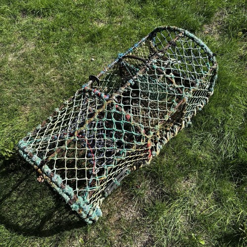 Norfolk lobster crab pot - lobster,