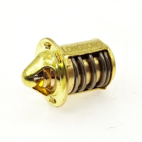 Thermostat for peugeot - for,