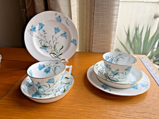 Choice  Antique Copeland Spode