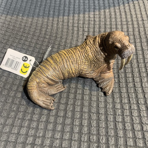 Collecta walrus - collecta,