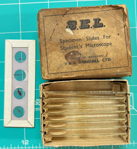 Box old specimen - old, slides