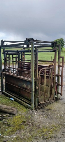 Used cattle crush - used,