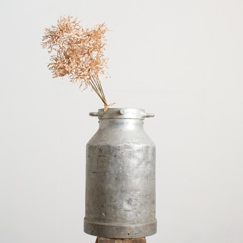 Antique vintage rustic - antique,