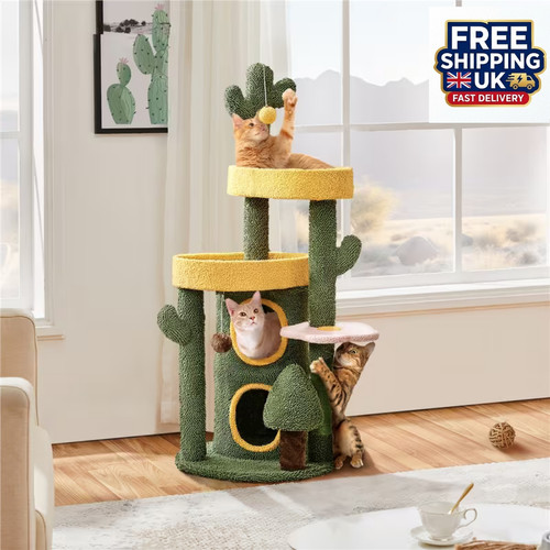 Cat tree cactus cute - cat,