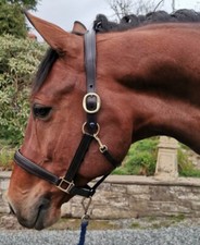 KHS Premium Leather Headcollar