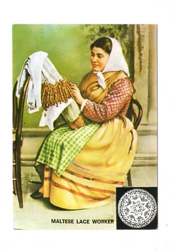 Postcard maltese lace - postcard,
