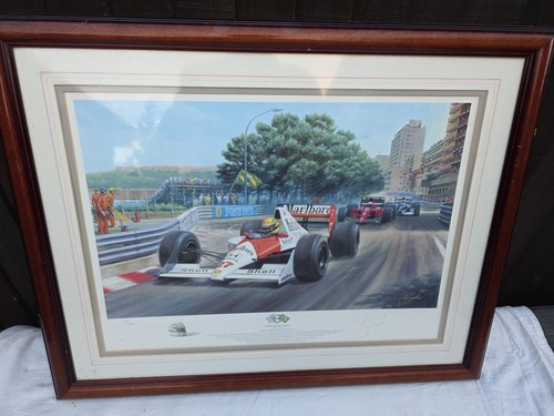 Ayrton senna silva tony - ayrton, de
