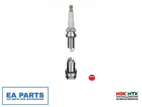 Spark plug for - plug,