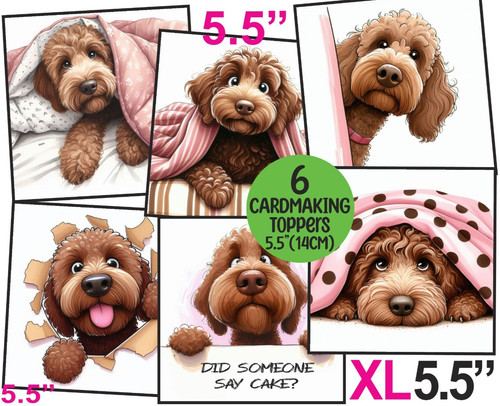 Labradoodle funny card toppers - labradoodle,