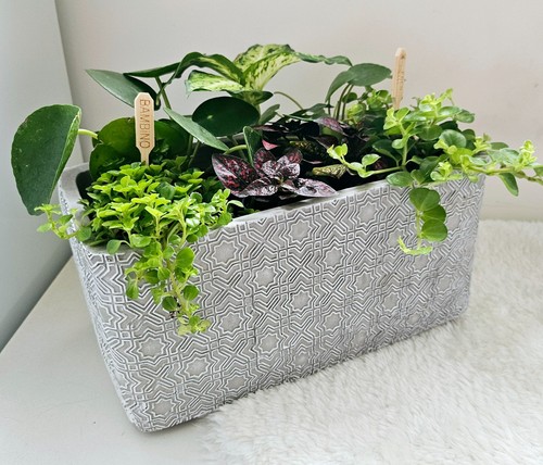 Concrete flower pot large - flower,