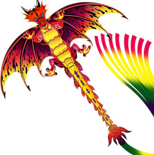 Kite for Kids and Adults, Easy Flyer Kites for Boys and Girls, Beach and Summer 