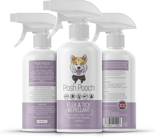 Flea and tick prevention - flea,